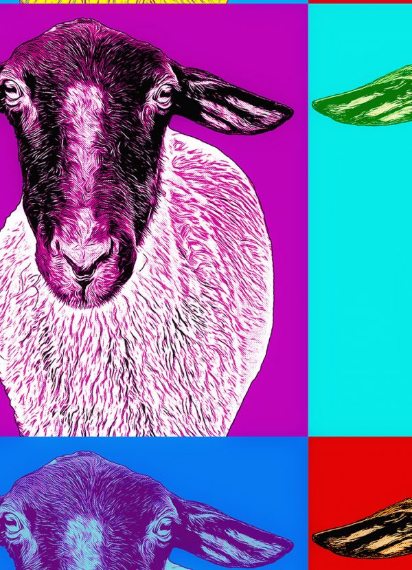 Pop-Art Wandbild "Käthe, das Rhönschaf" – Bild 2