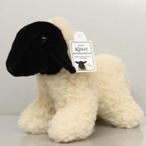 Wolli, das echte Rhönschaf